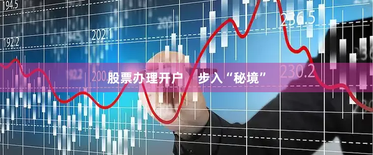 股票办理开户    步入“秘境”