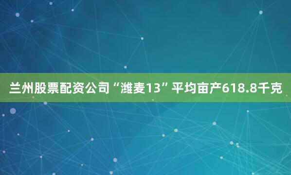 兰州股票配资公司“潍麦13”平均亩产618.8千克