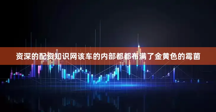 资深的配资知识网该车的内部都都布满了金黄色的霉菌